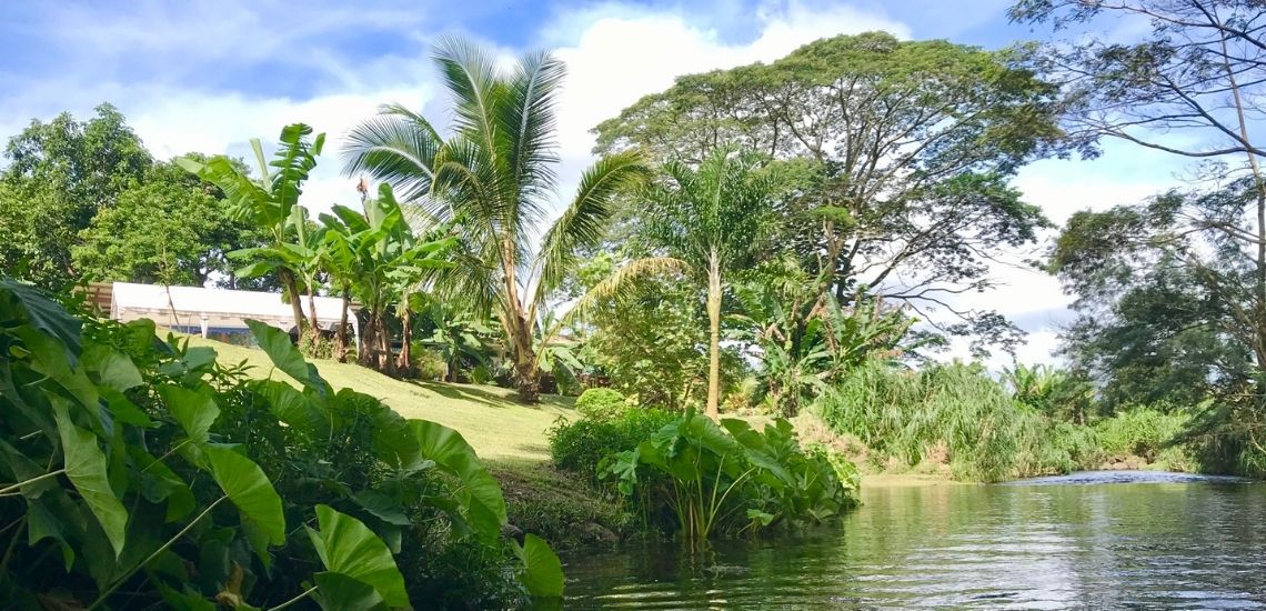 https://tahititourisme.ch/wp-content/uploads/2020/03/Teanavai_Camping_1140x5550px.jpg