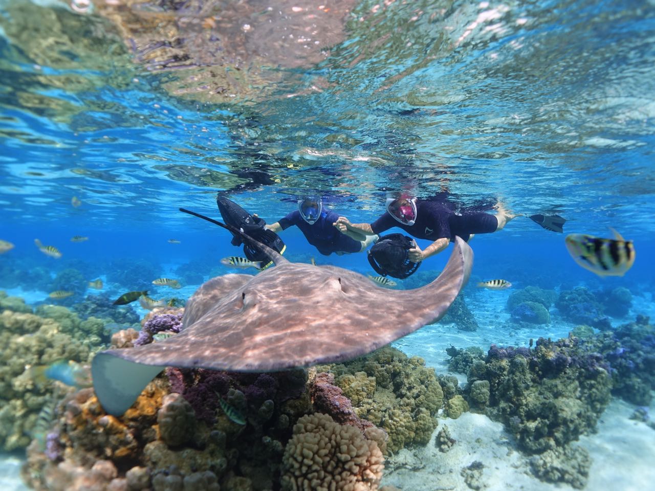 https://tahititourisme.ch/wp-content/uploads/2020/09/Sea-Scooter-Snorkeling-Tour-à-moorea-copie-2.jpg