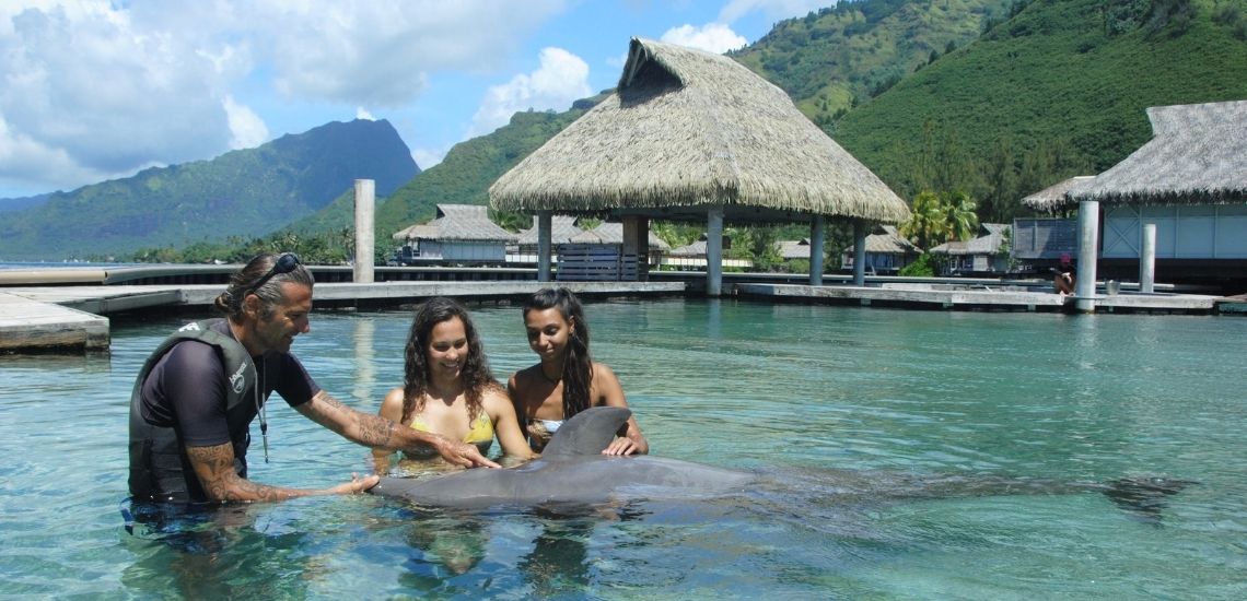 https://tahititourisme.ch/wp-content/uploads/2021/01/Offre_Moorea-Dolphin-Center.jpg