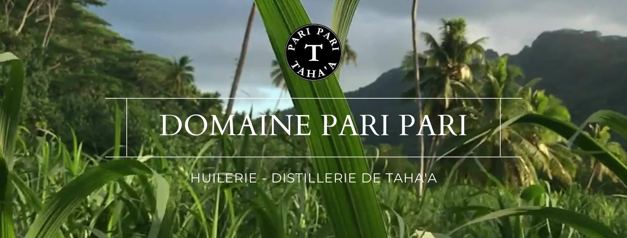 https://tahititourisme.ch/wp-content/uploads/2021/11/Domaine-pari-pari.jpg