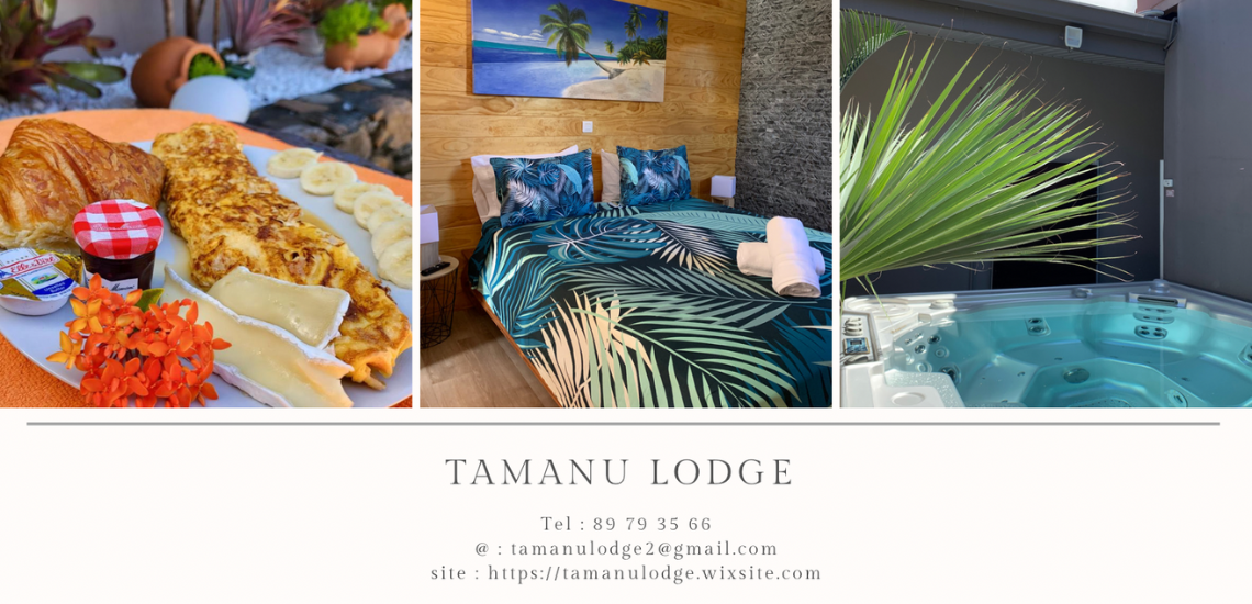 https://tahititourisme.ch/wp-content/uploads/2022/11/TamanuLodge_photocouverture_1140x550px.png