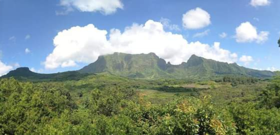 https://tahititourisme.ch/wp-content/uploads/2023/02/SmileWithWilly_photocouverture_1140x550px.png