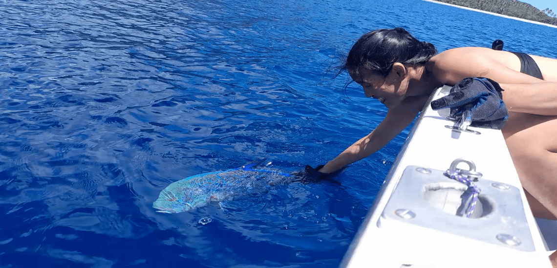 https://tahititourisme.ch/wp-content/uploads/2023/03/MooreaSunriseFishing_photocouver.png