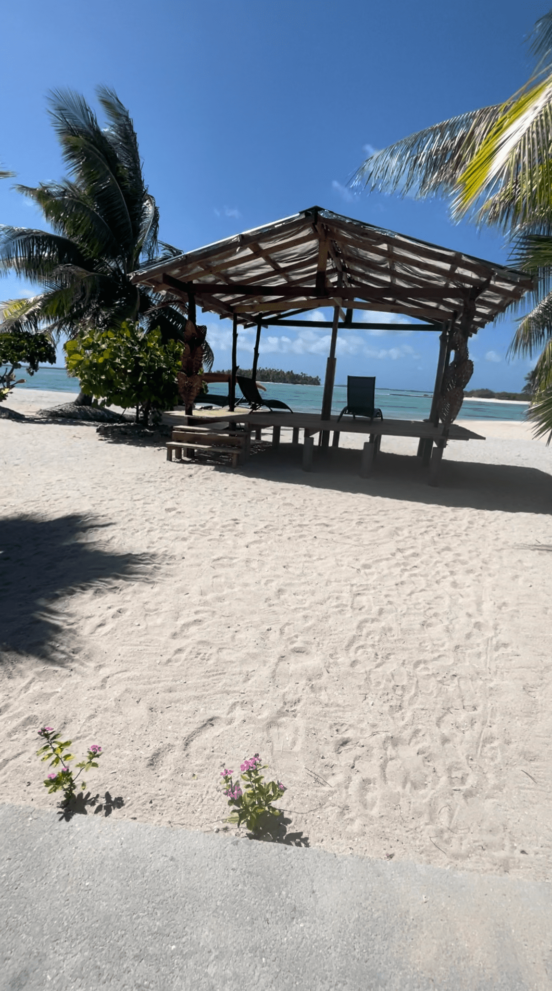 https://tahititourisme.ch/wp-content/uploads/2024/01/IMG_5076-min.png