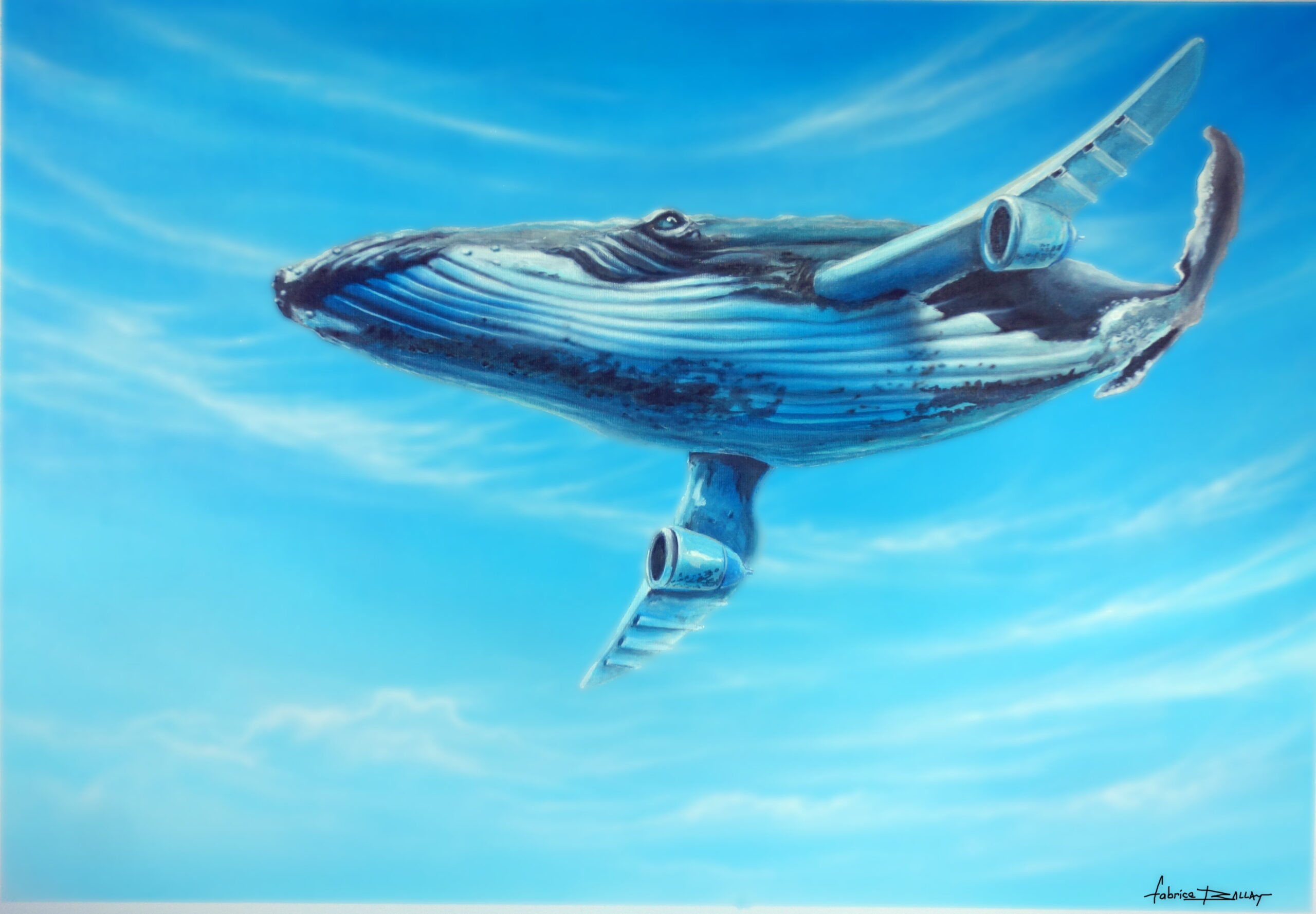 https://tahititourisme.ch/wp-content/uploads/2024/02/baleine_volante-min-scaled.jpg